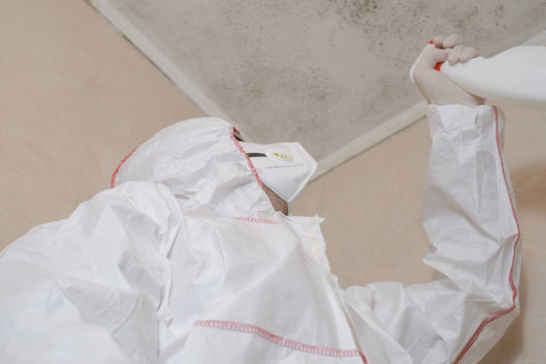 Lithopolis, OH Mold Removal Company